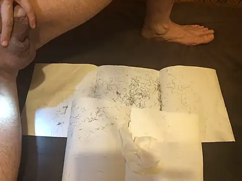 omonakaのウェブカメラショー