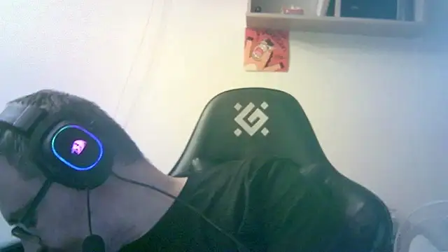 SirAbuser 网络视讯表演