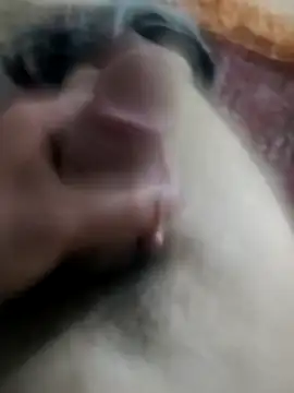 Ghlysefk ওয়েবক্যাম শো