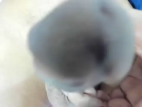 عرض كام Aisha_hotts777