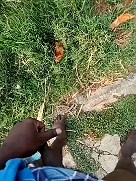 dolphiinn's Webcam Show