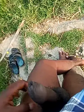 dolphiinn 在線直播表演