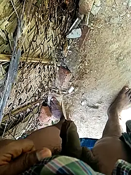 Pokazy przed kamerką – dolphiinn