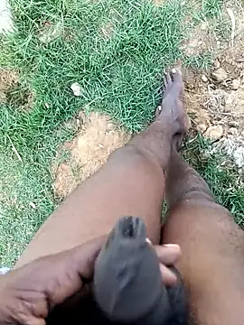 dolphiinn Pertunjukan Webcam