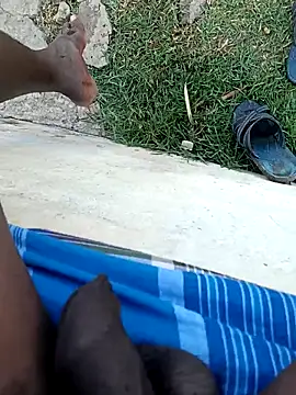 Show Webcam de dolphiinn