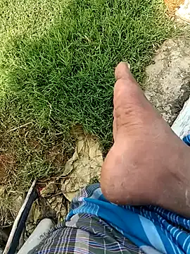 dolphiinn Show in webcam