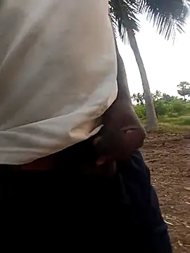 โชว์เว็บแคมของ dolphiinn