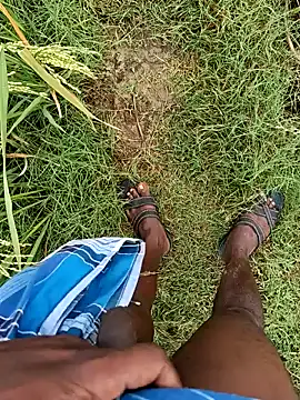 Webkamerová show dolphiinn