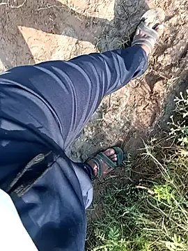 dolphiinn 웹캠 쇼