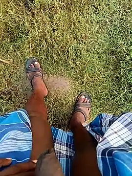 Show de dolphiinn na webcam