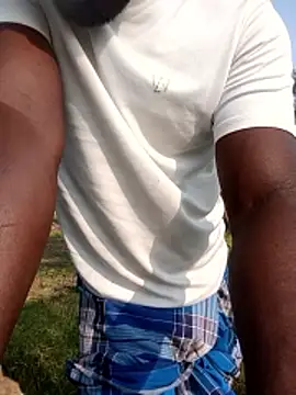 عرض كام dolphiinn