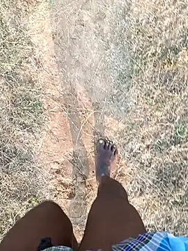 dolphiinn Webcam Show