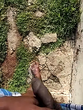 dolphiinn's Webcam Show