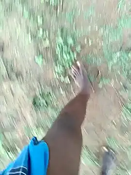 dolphiinn Show Webcam