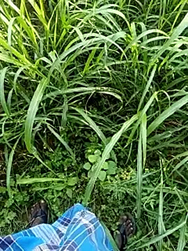 dolphiinn's Webcam Show