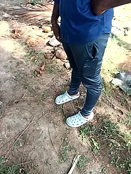 dolphiinn 网络视讯表演