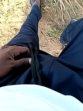 dolphiinn Show in webcam