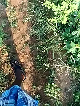 Pokazy przed kamerką – dolphiinn