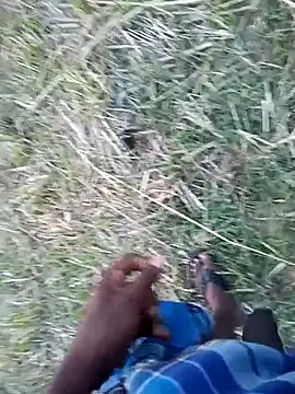 Show modela dolphiinn na web-kameri