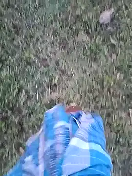 dolphiinn Show in webcam