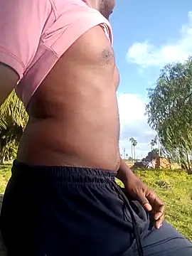 Show de dolphiinn na webcam