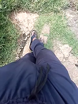 dolphiinn ওয়েবক্যাম শো