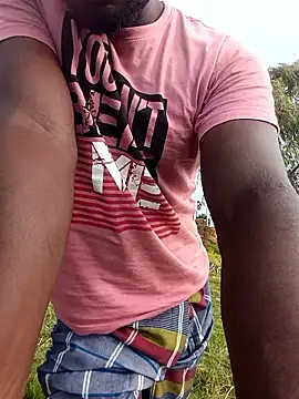 Show de dolphiinn na webcam