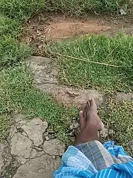 dolphiinn ওয়েবক্যাম শো
