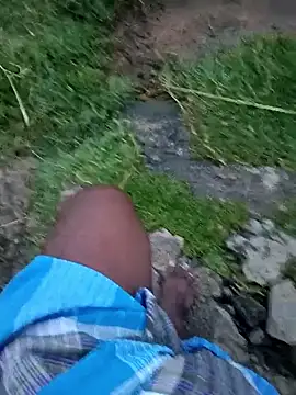 dolphiinn Show in webcam