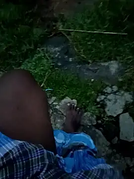 dolphiinn webcam show