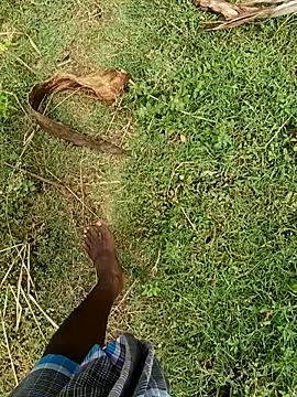 dolphiinn ওয়েবক্যাম শো