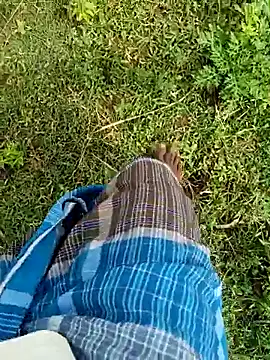 dolphiinn Show Webcam