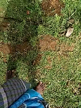 dolphiinn ওয়েবক্যাম শো