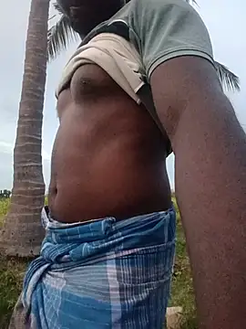 dolphiinn Pertunjukan Webcam