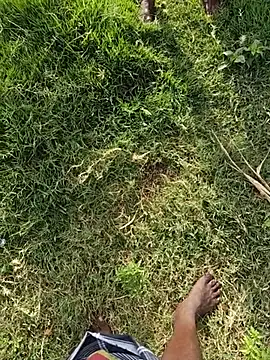dolphiinn Webcam show