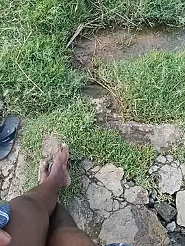 dolphiinn ওয়েবক্যাম শো