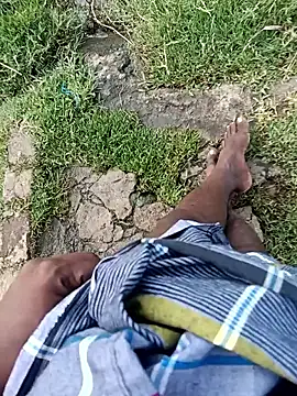 dolphiinn webkamerás műsora