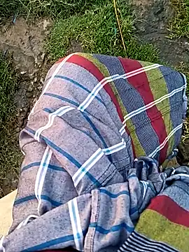 dolphiinn Webcam show