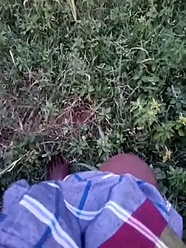dolphiinn Webcam-Show