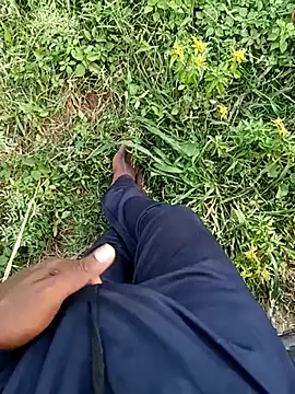 dolphiinn ওয়েবক্যাম শো