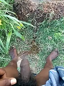 Show de dolphiinn na webcam