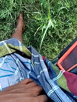 dolphiinn Webcam-Show
