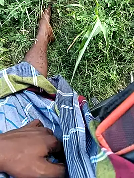 dolphiinn Show in webcam