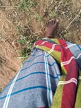 dolphiinn ওয়েবক্যাম শো