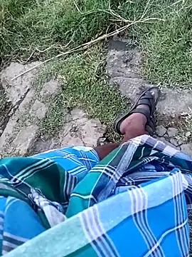 dolphiinn webcam show