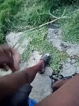 dolphiinn webcam show
