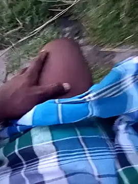 dolphiinnn Webbikameraesitys