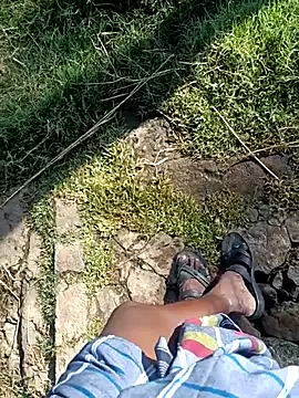 dolphiinn Webcamshow