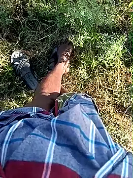 Show de dolphiinn na webcam