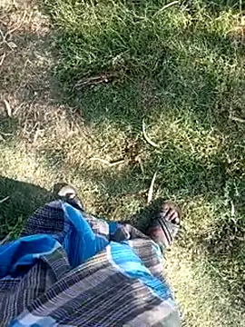 dolphiinnのウェブカメラショー